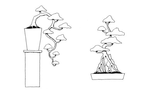 Bonsai Cascade Style, Bonsai Root Over Rock Style Coloring Page